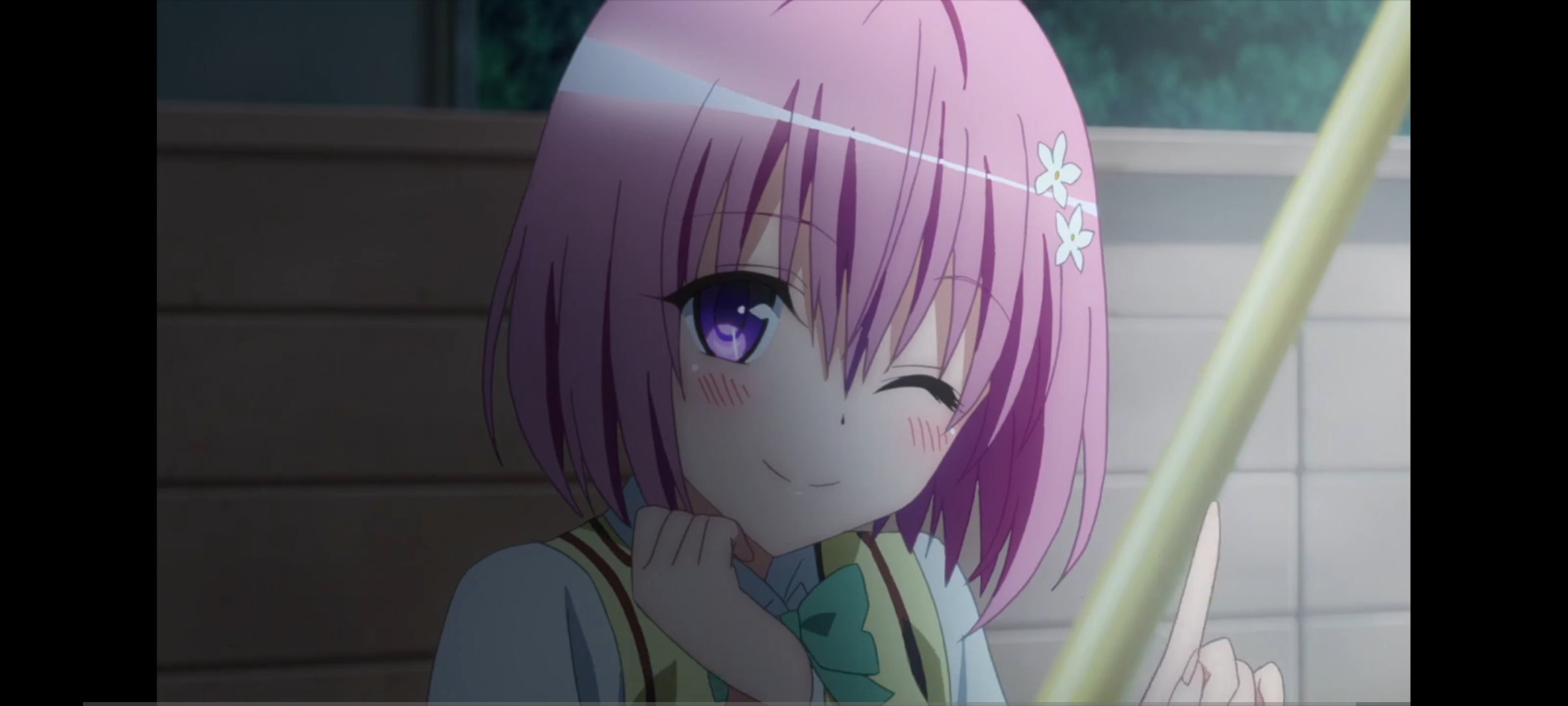 左三三/右白王 - 机器猫次元 - 机器猫次元